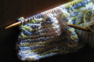This will be the first dish cloth I have knitted.