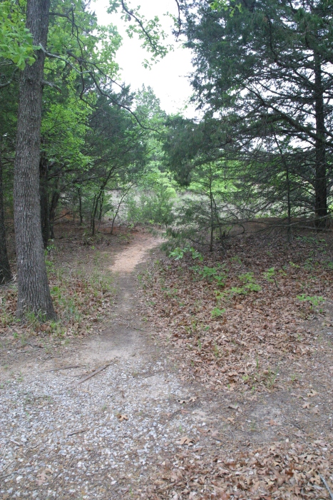 A little trail near our campsite